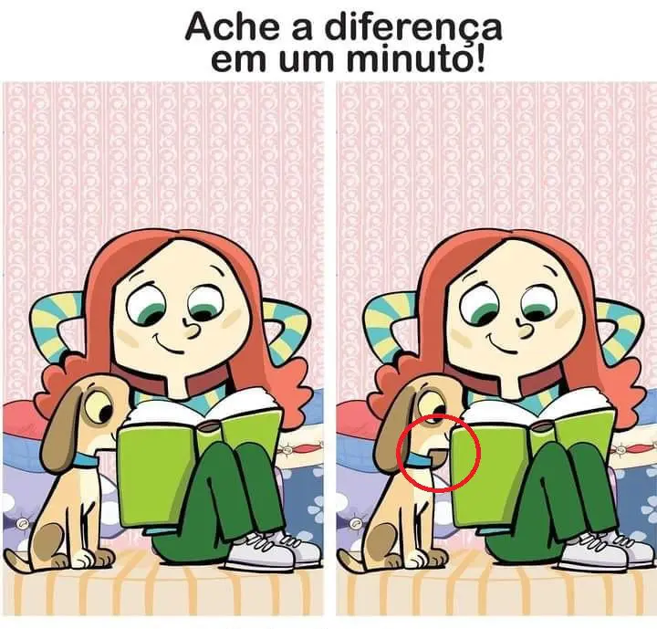 Resposta Ache a Diferença: O Cãozinho e a Menina