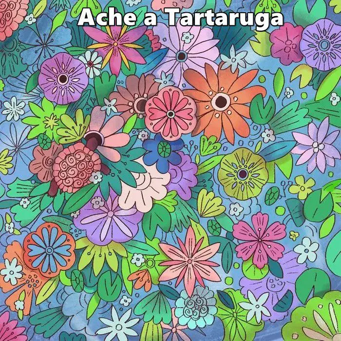 Ache a Tartaruga