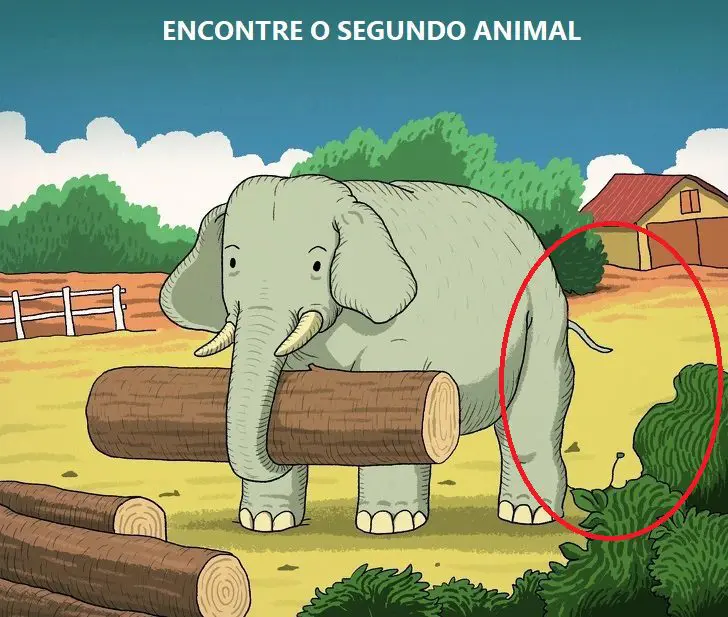 Resposta Onde está o segundo animal?