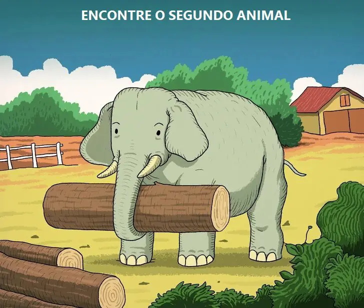 Onde está o segundo animal?