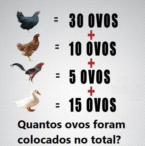 Quantos ovos foram colocados?