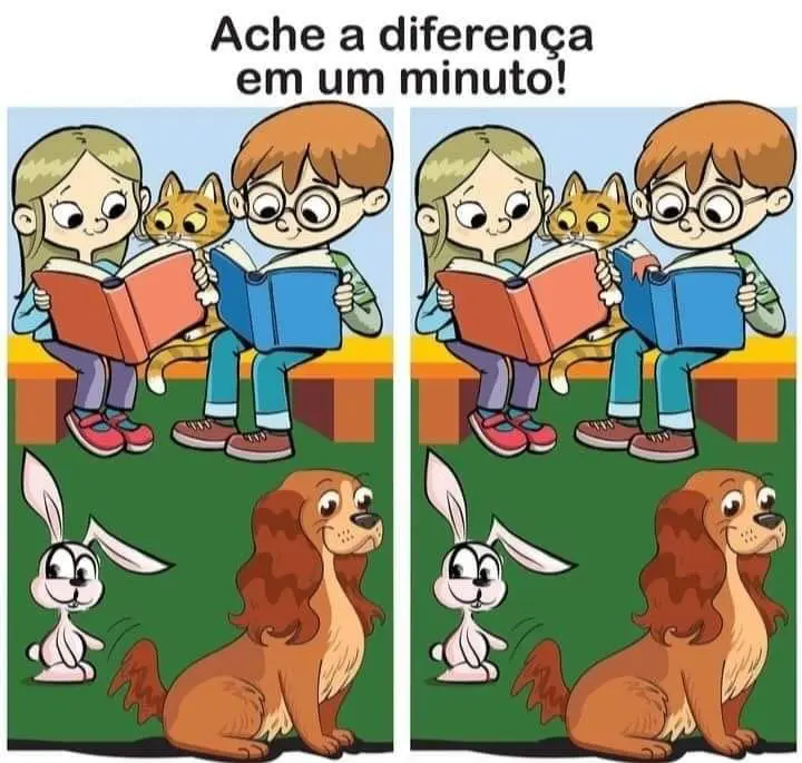 Ache a Diferença: A Leitura com os Animais