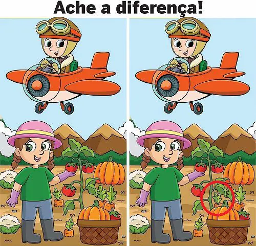 Resposta Ache a Diferença: A Produtora