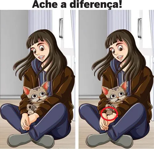 Resposta Ache a Diferença: O Gatinho Fofinho