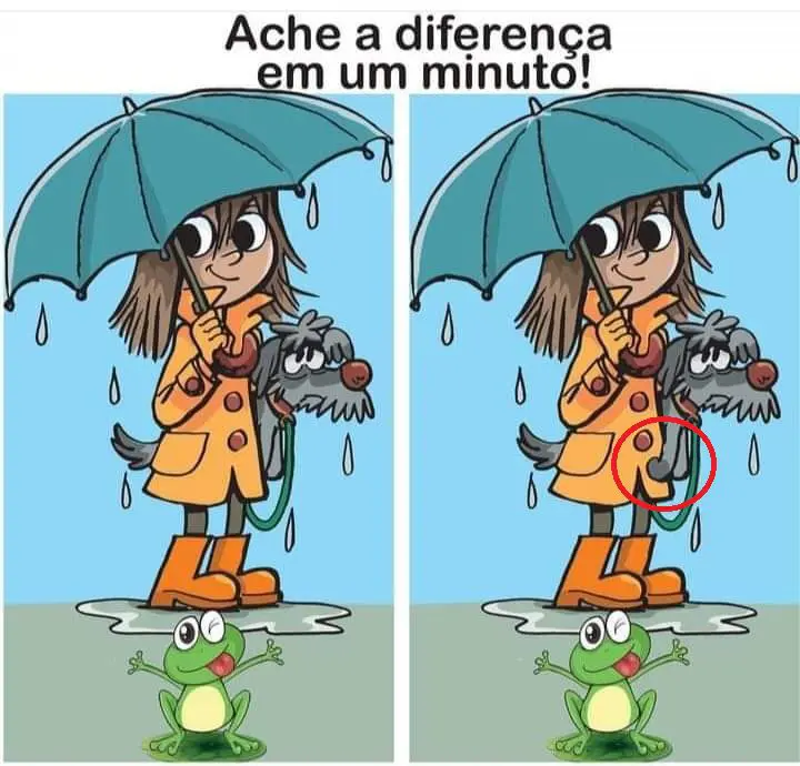 Resposta Ache a Diferença: O Passeio na Chuva