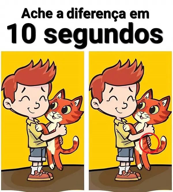 Resposta Ache a Diferença em 10 segundos: O Menino e Seu Gatinho