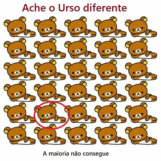 Resposta Ache o Urso diferente