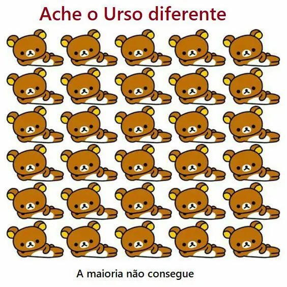 Ache o Urso diferente