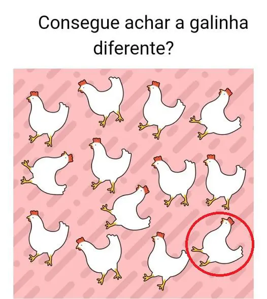 Resposta Encontre a galinha diferente, a maioria não consegue