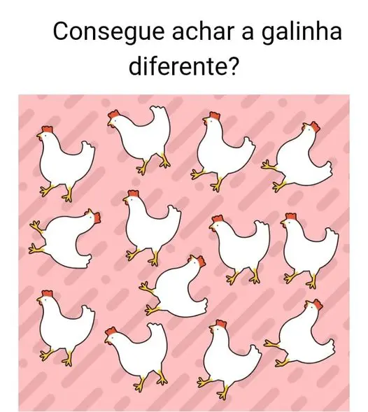 Encontre a galinha diferente, a maioria não consegue