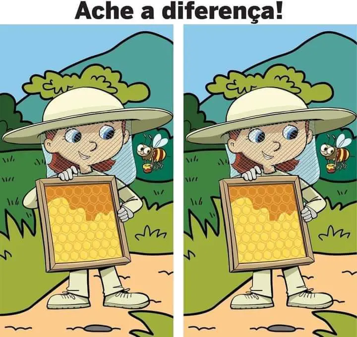 Ache a Diferença: A Apicultora