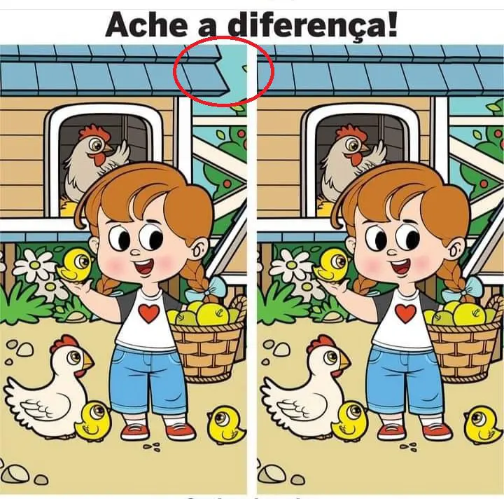 Resposta Ache a Diferença: O Galinheiro