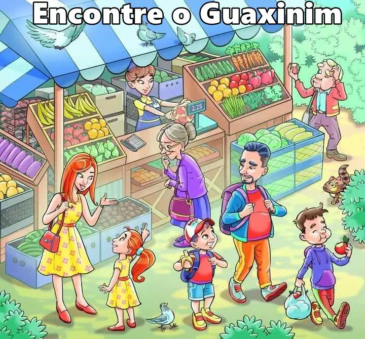 Encontre o Guaxinim