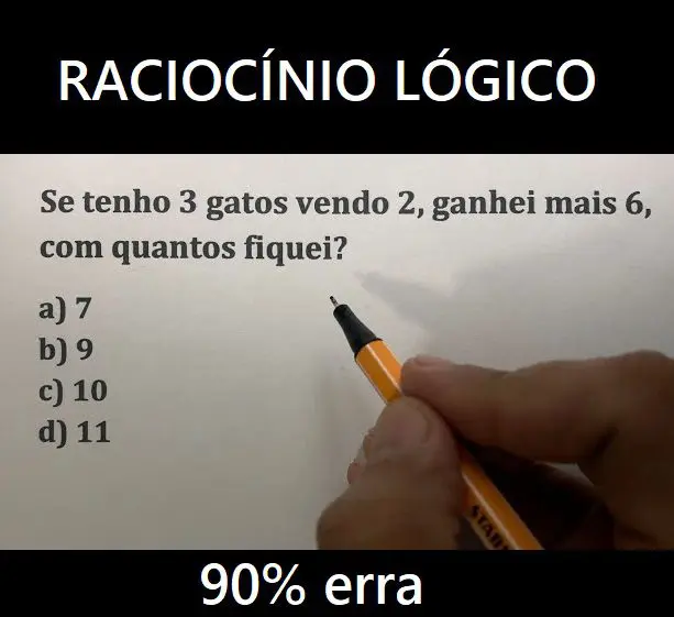 Se tenho 3 gatos vendo 2, ganhei mais 6, com quantos fiquei: