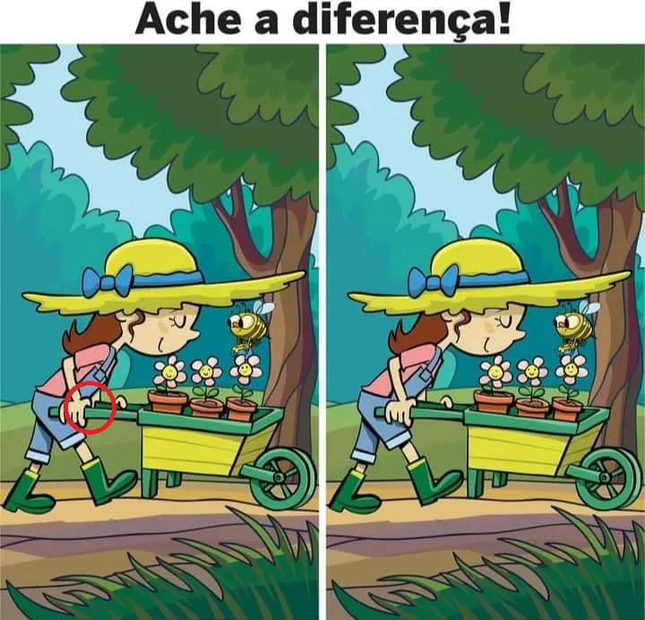 Resposta Ache a Diferença: A Florista