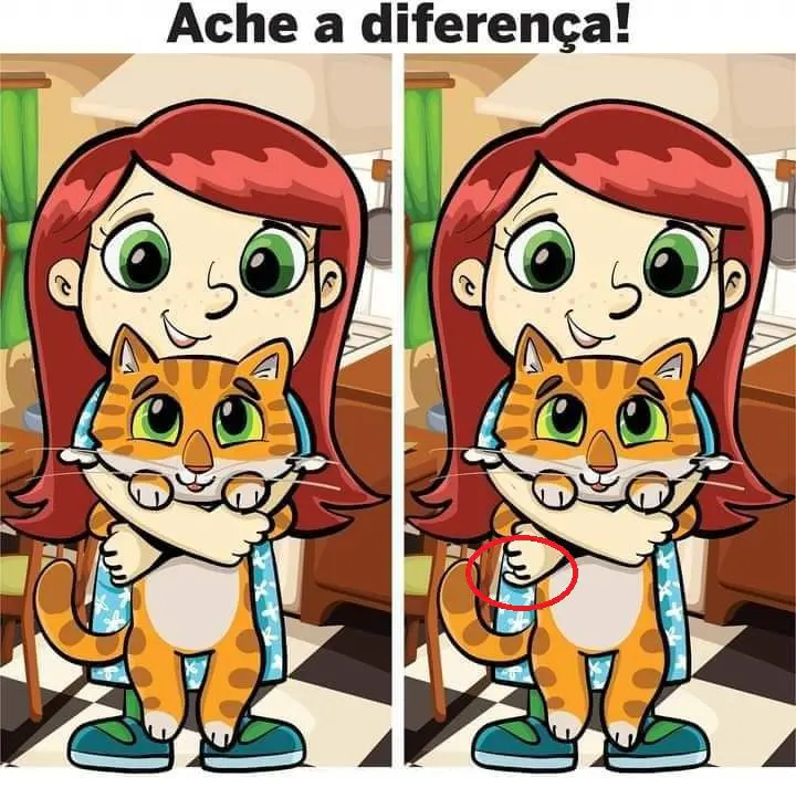 Resposta Ache a Diferença: O Abraço no Gatinho Fofo