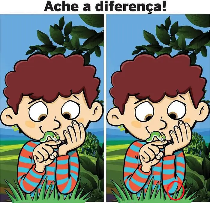 Resposta Ache a Diferença: O Menino e a Lagarta