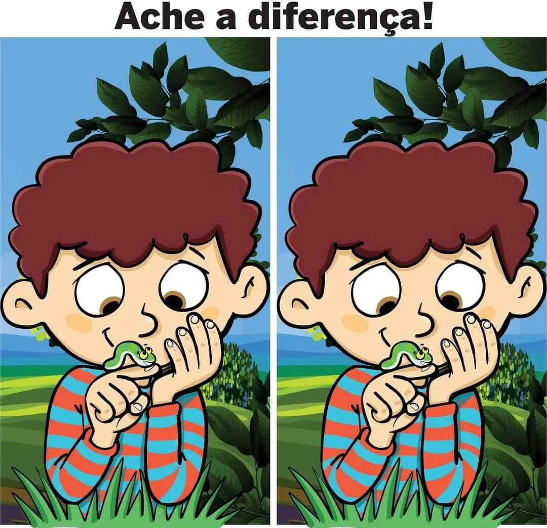 Ache a Diferença: O Menino e a Lagarta