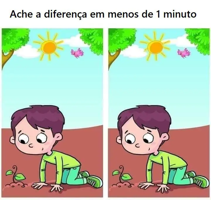 Ache a diferença em menos de 1 minuto: O Menino e a Plantinha