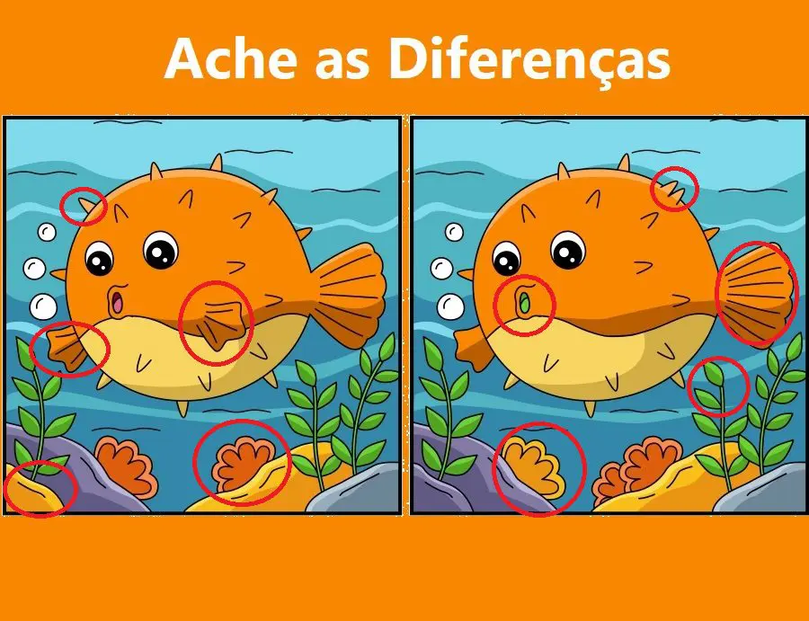 Resposta Ache as Diferenças: O Baiacu