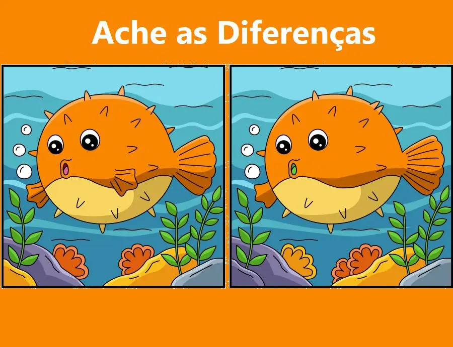 Ache as Diferenças: O Baiacu