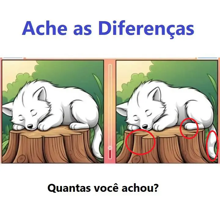 Resposta Ache as Diferenças: O Lobo