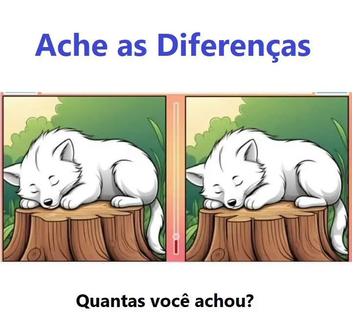 Ache as Diferenças: O Lobo