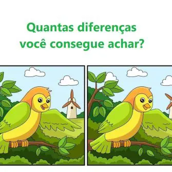 Ache as Diferenças: O Passarinho