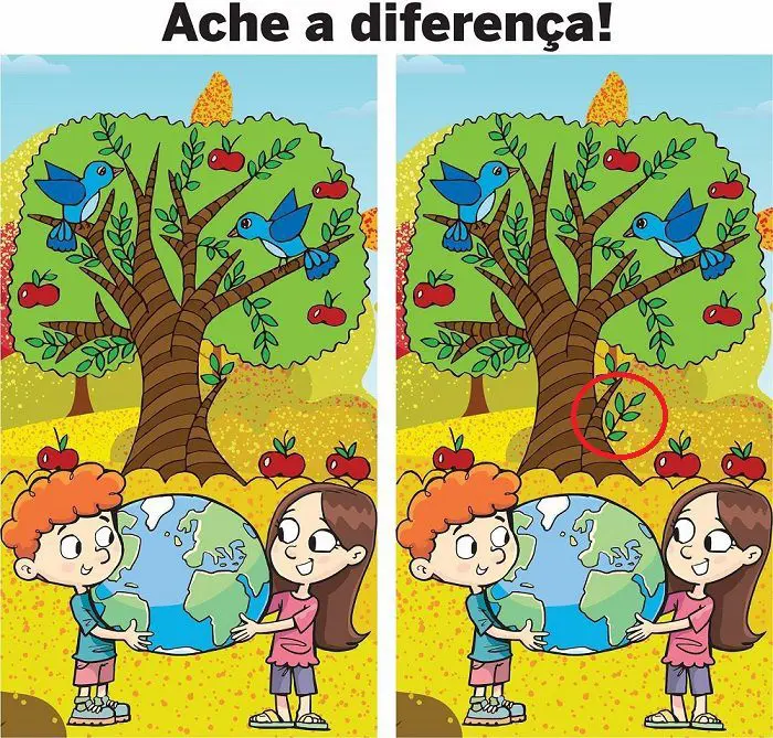 Resposta Ache a Diferença: Dia da Terra