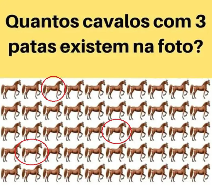 Resposta quantos cavalos com 3 patas existem na foto?