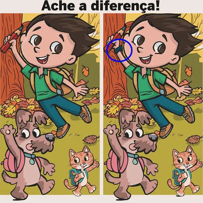 Resposta Ache a Diferença: O Menino e os Pets na Escola