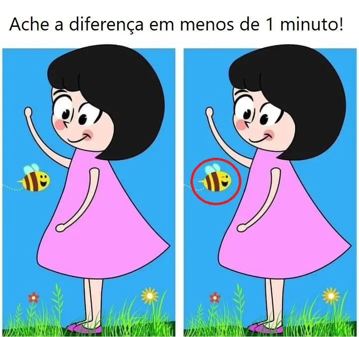 Resposta Ache a Diferença: A Menina e a Abelha