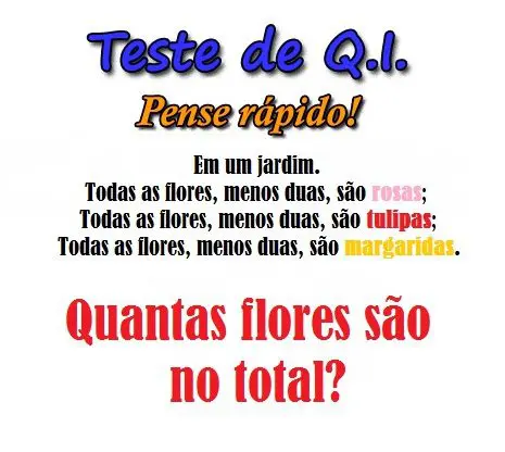 Em um jardim, todas as flores, menos duas, são rosas; Todas as flores, menos duas, são tulipas; Todas as flores, menos duas, são margaridas. Quantas flores são no total?