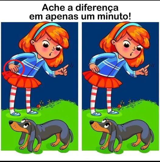 Resposta Ache a Diferença: A Menina e o Salsicha