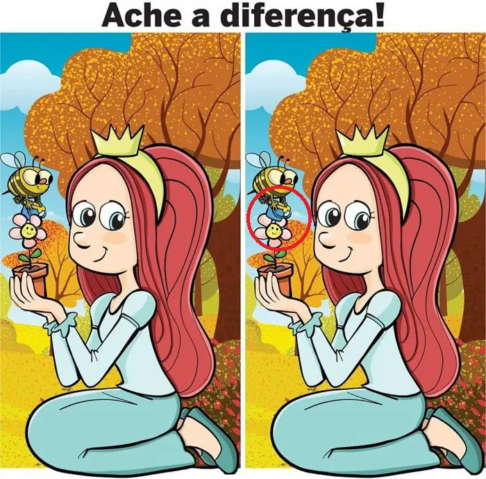 Resposta Ache a Diferença: A Princesa e a Abelha