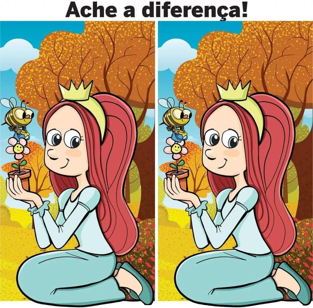 Ache a Diferença: A Princesa e a Abelha