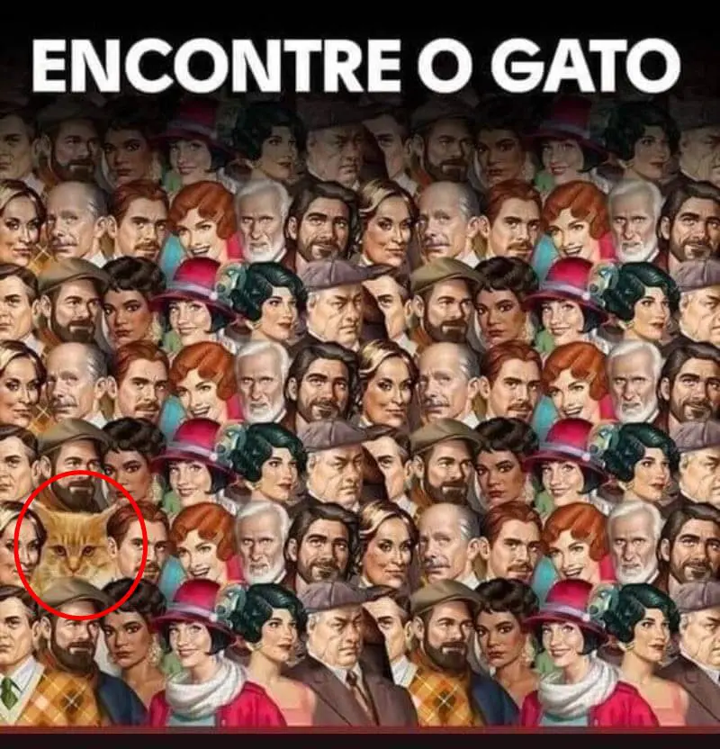 Resposta Encontre o Gato na Imagem das Pessoas