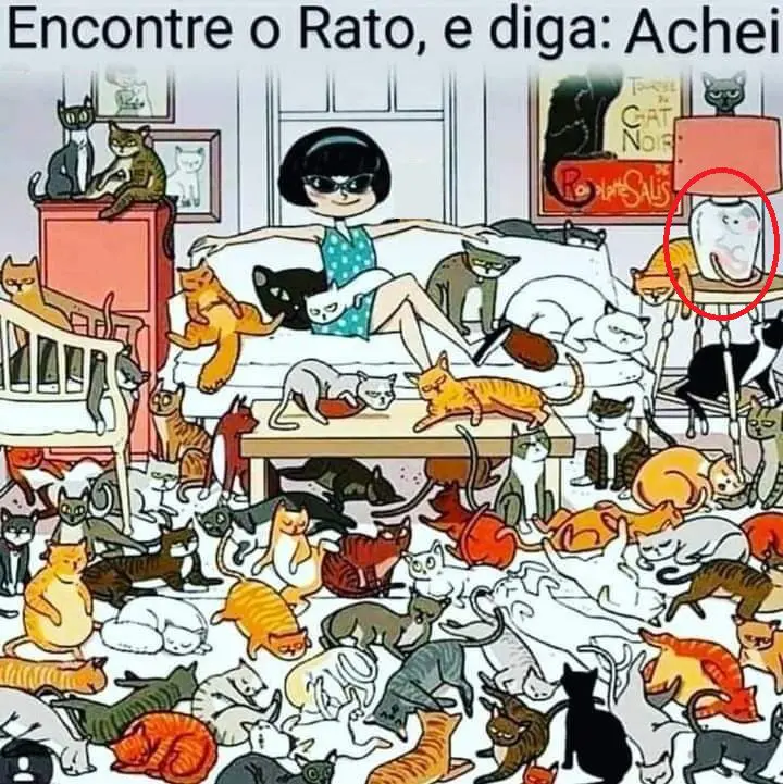 Resposta Ache o Rato na Imagem