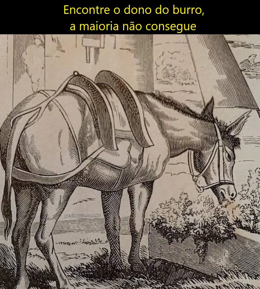 Encontre o Dono do Burro