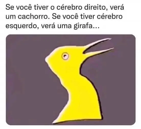 Se você tiver o cérebro direito, verá um cachorro, se tiver esquerdo, uma girafa, qual você viu?