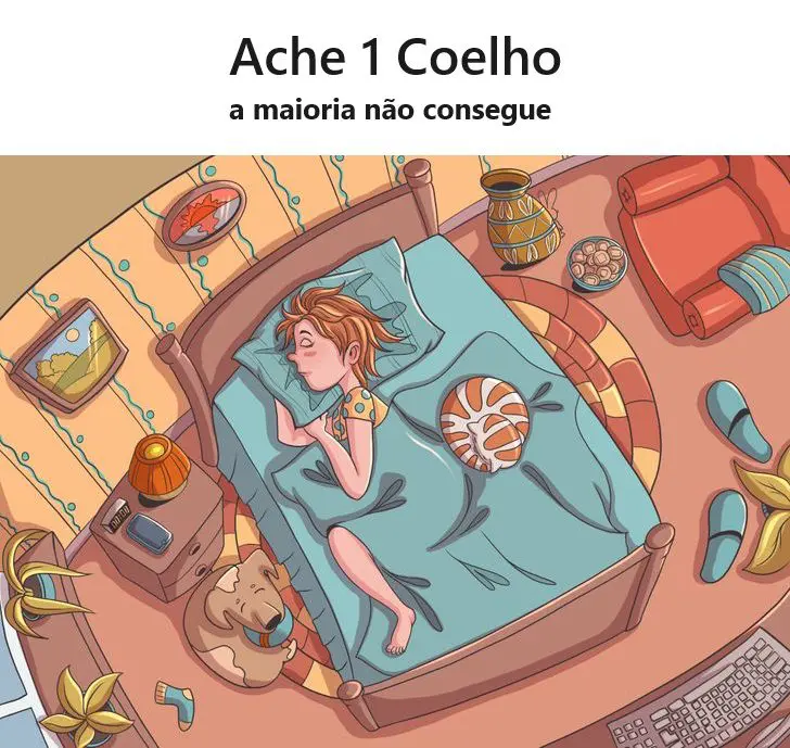 Ache 1 Coelho no Quarto Bagunçado