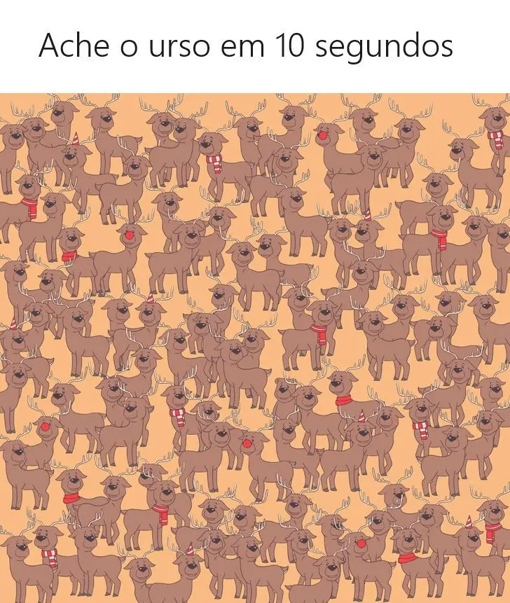 Ache o Urso em 10 segundos