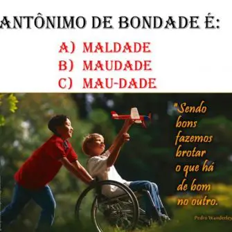 Português: O Antônimo de Bondade é?