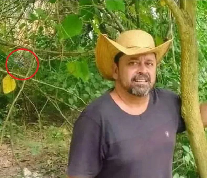 Resposta Quando você perceber será tarde demais: o homem na floresta