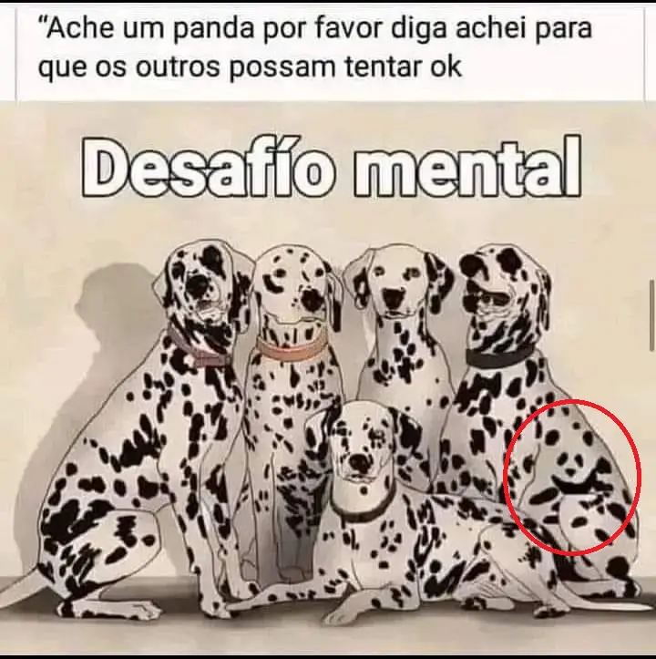 Resposta Desafio Mental: Ache o Panda