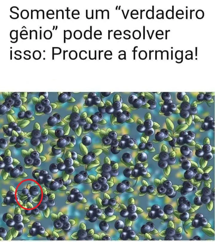 Resposta Encontre a Formiga