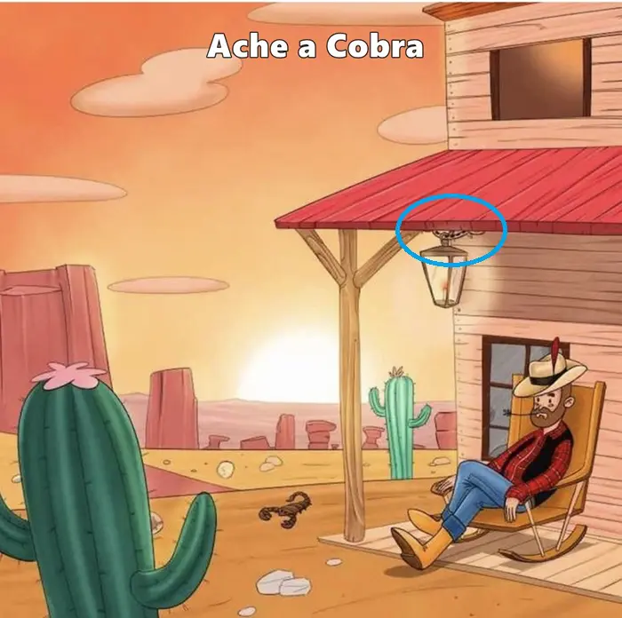 Resposta Ache a Cobra e Salve o Cowboy