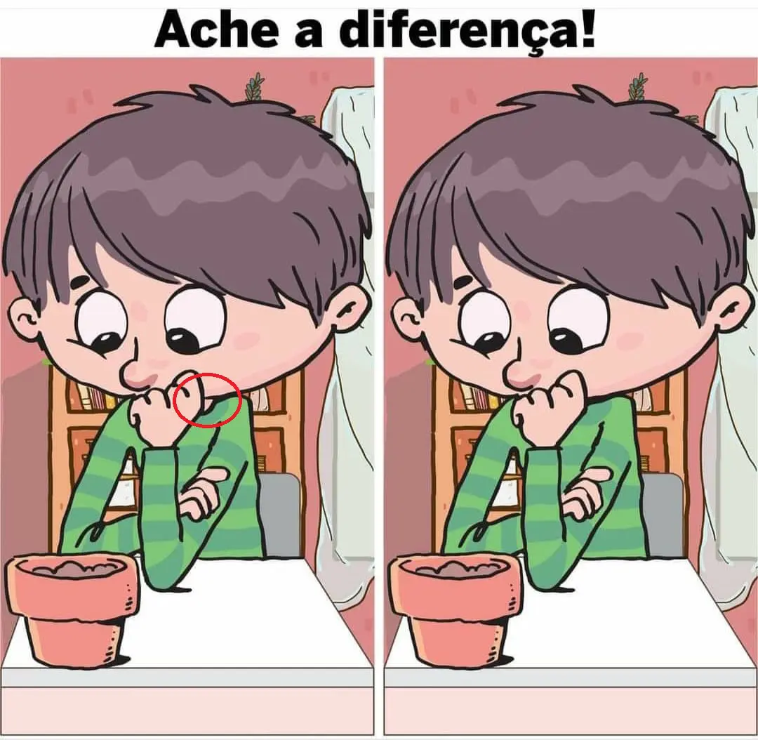 Resposta Ache a Diferença: O Vaso de Flor