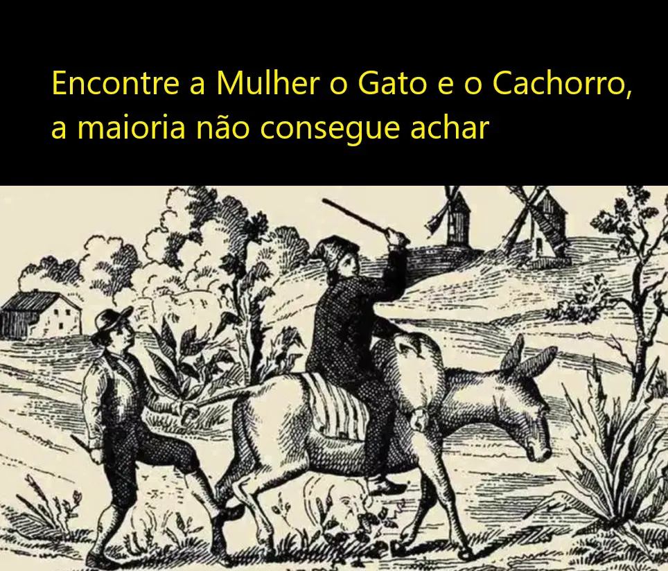 Encontre a Mulher o Gato e o Cachorro