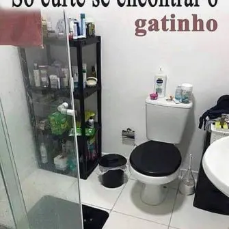 Desafio Visual Encontre o Gatinho no Banheiro